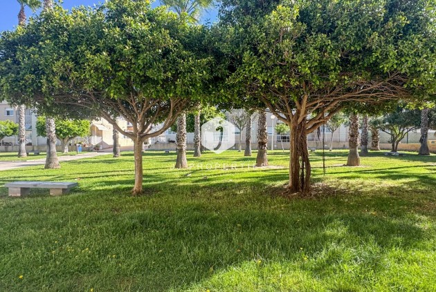 Aus zweiter Hand - Duplex -
Torrevieja - Costa Blanca