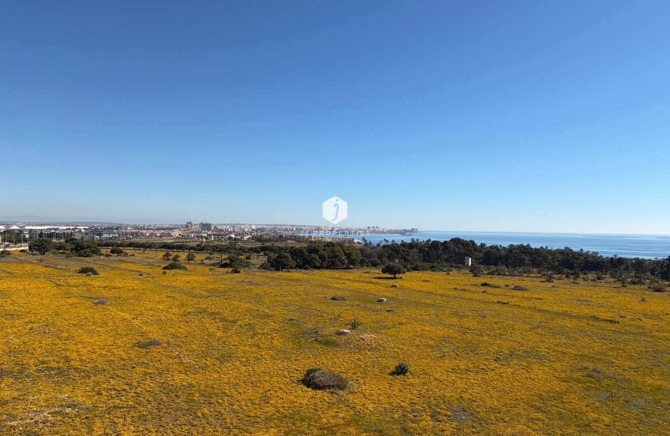 Z drugiej ręki - Daszek -
Torrevieja - Punta prima