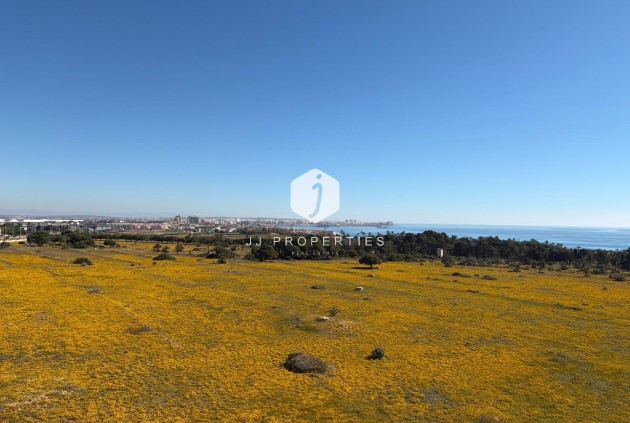 Z drugiej ręki - Daszek -
Torrevieja - Punta prima
