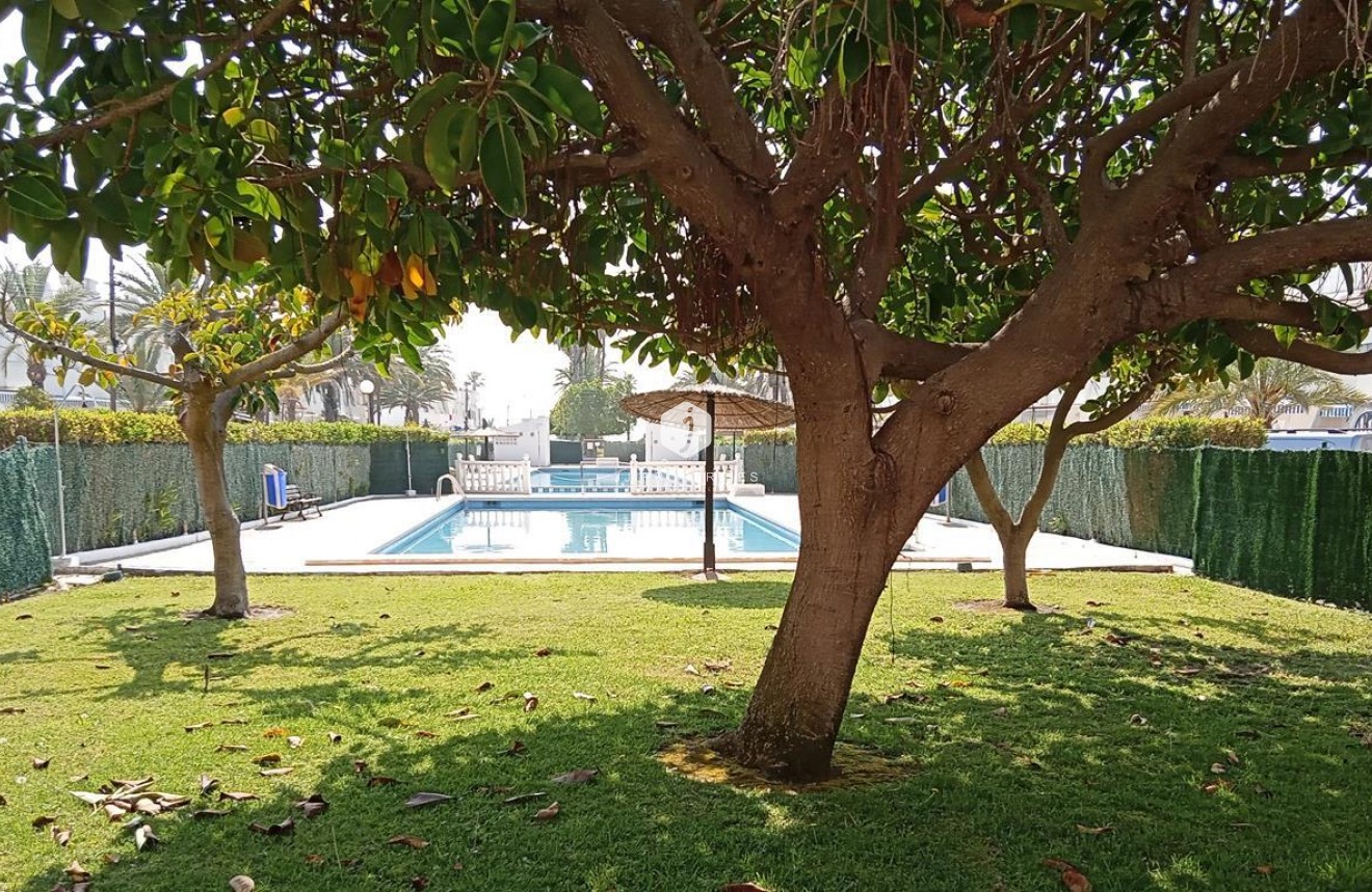 Tweedehands - Appartement / flat -
Torrevieja - MAR AZUL LA VELETA