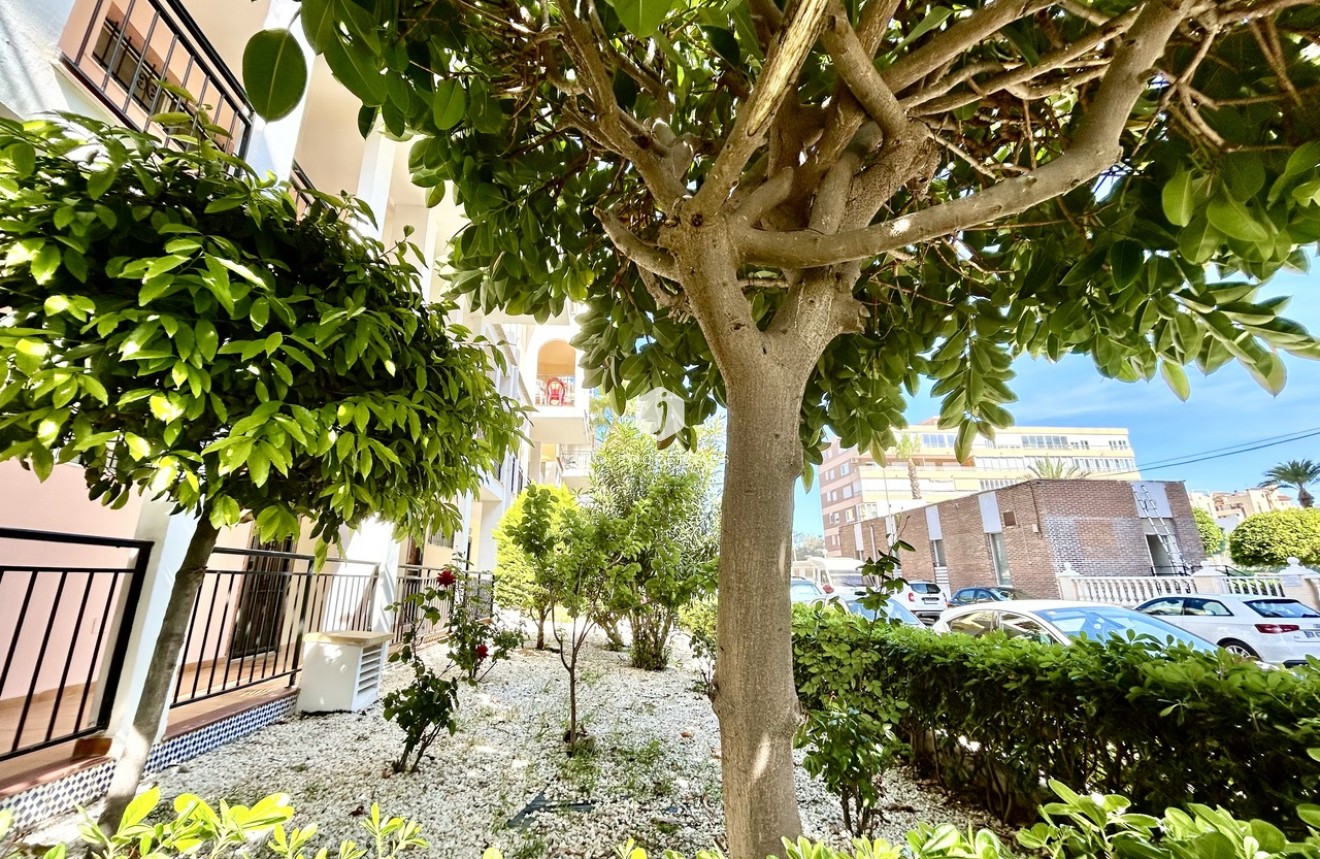 D'occasion - Appartement -
Torrevieja - Costa Blanca