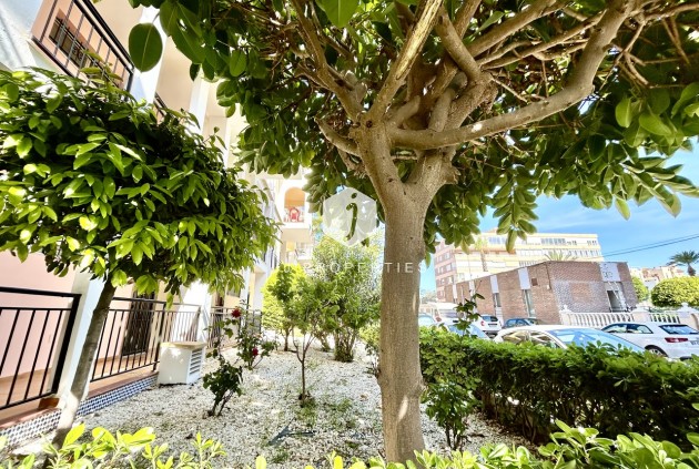 D'occasion - Appartement -
Torrevieja - Costa Blanca
