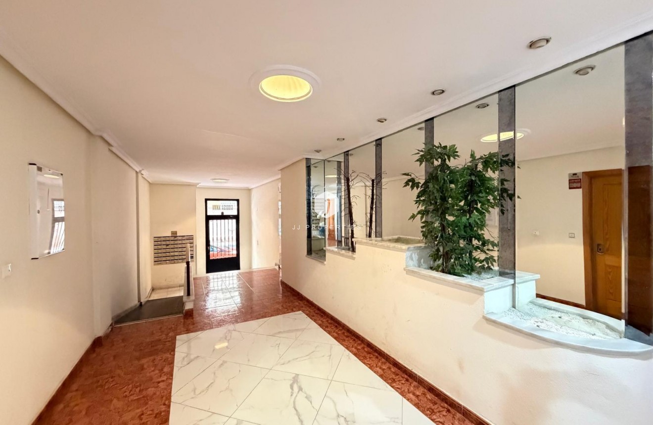 D'occasion - Appartement -
Torrevieja - Estacion de autobuses