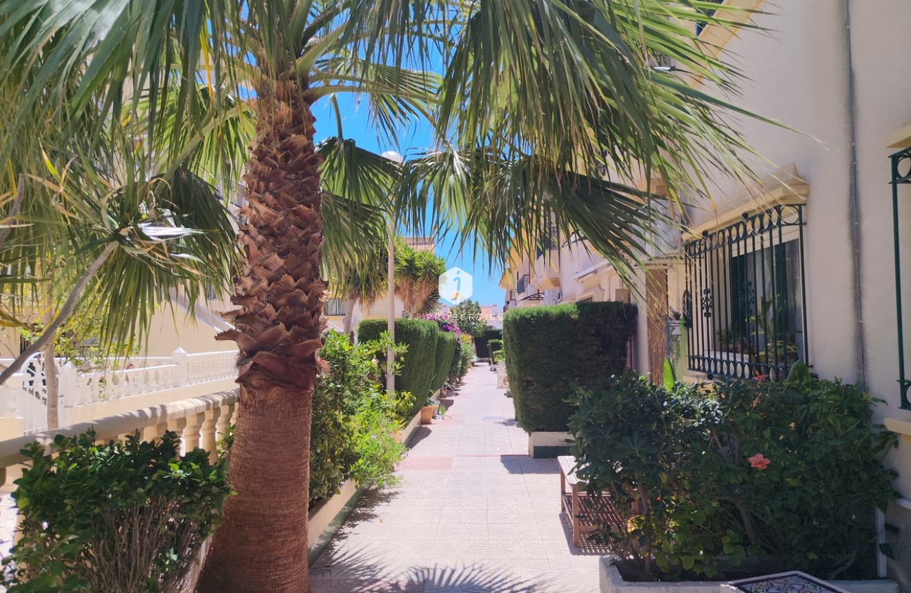 D'occasion - Chalet -
La Zenia - Costa Blanca