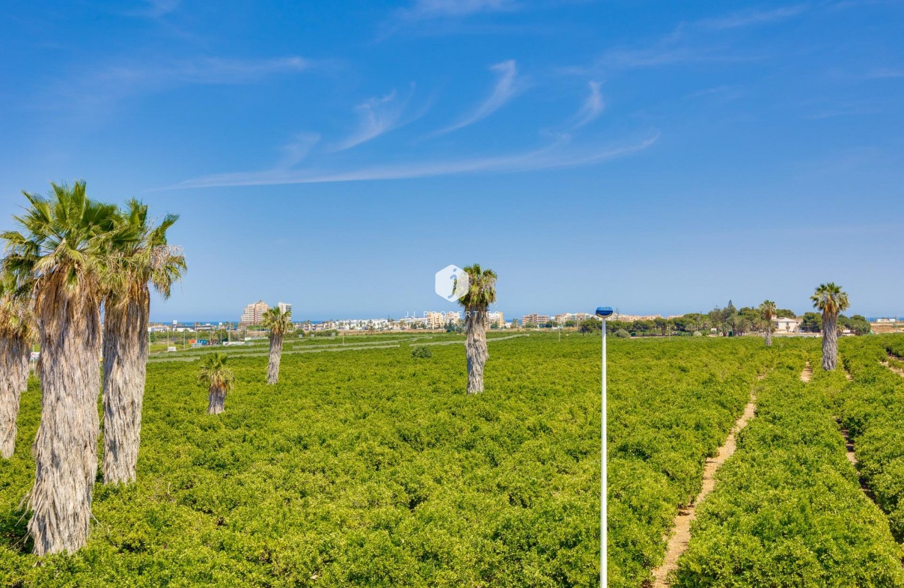 Z drugiej ręki - Szalet -
Torrevieja - Los Balcones