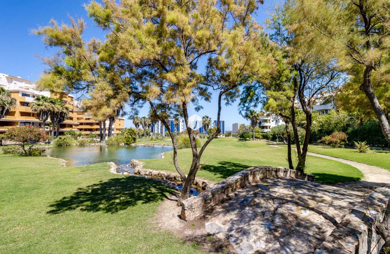 D'occasion - Appartement -
Torrevieja - Punta prima
