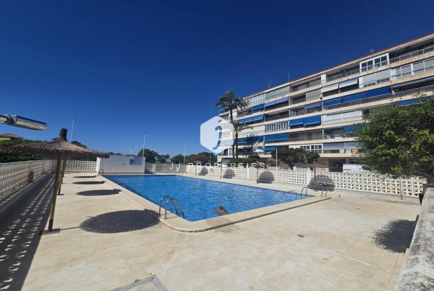 D'occasion - Appartement -
Torrevieja - Puerto Deportivo Marina Salinas