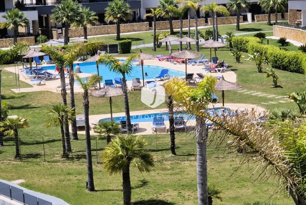 Segunda mano - Apartamento / piso -
Playa Flamenca - Costa Blanca
