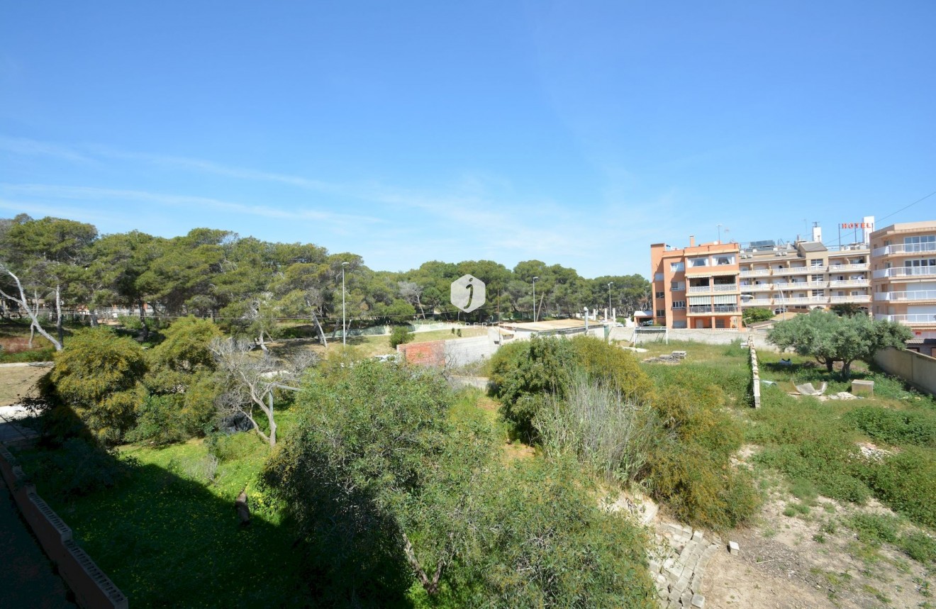 Z drugiej ręki - Mieszkanie w bloku -
Guardamar del Segura - Costa Blanca