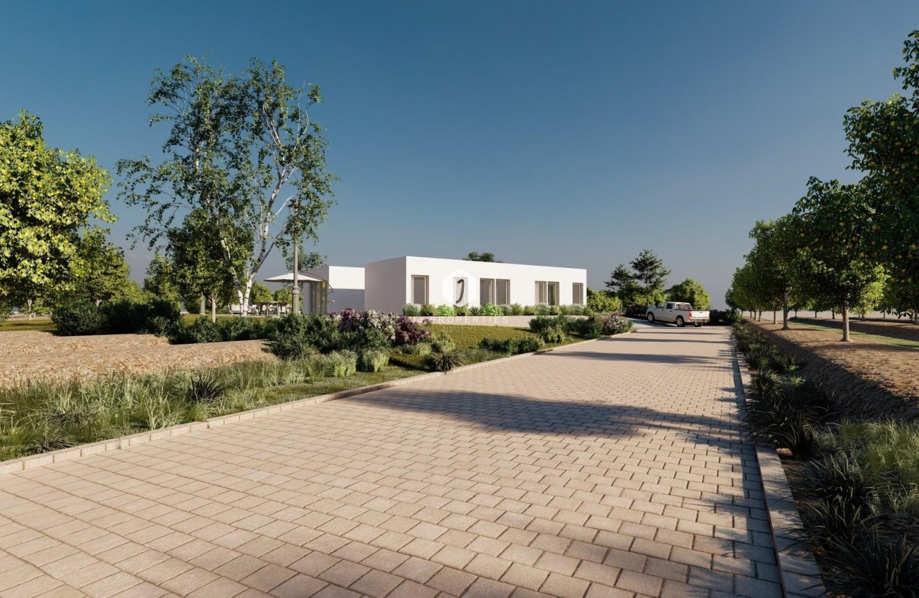 New Build - Villa -
Benejúzar - alta