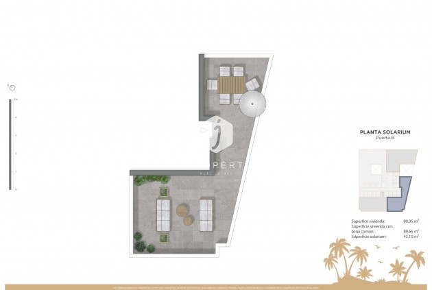 Nouvelle construction - Attique -
Guardamar del Segura - Pueblo