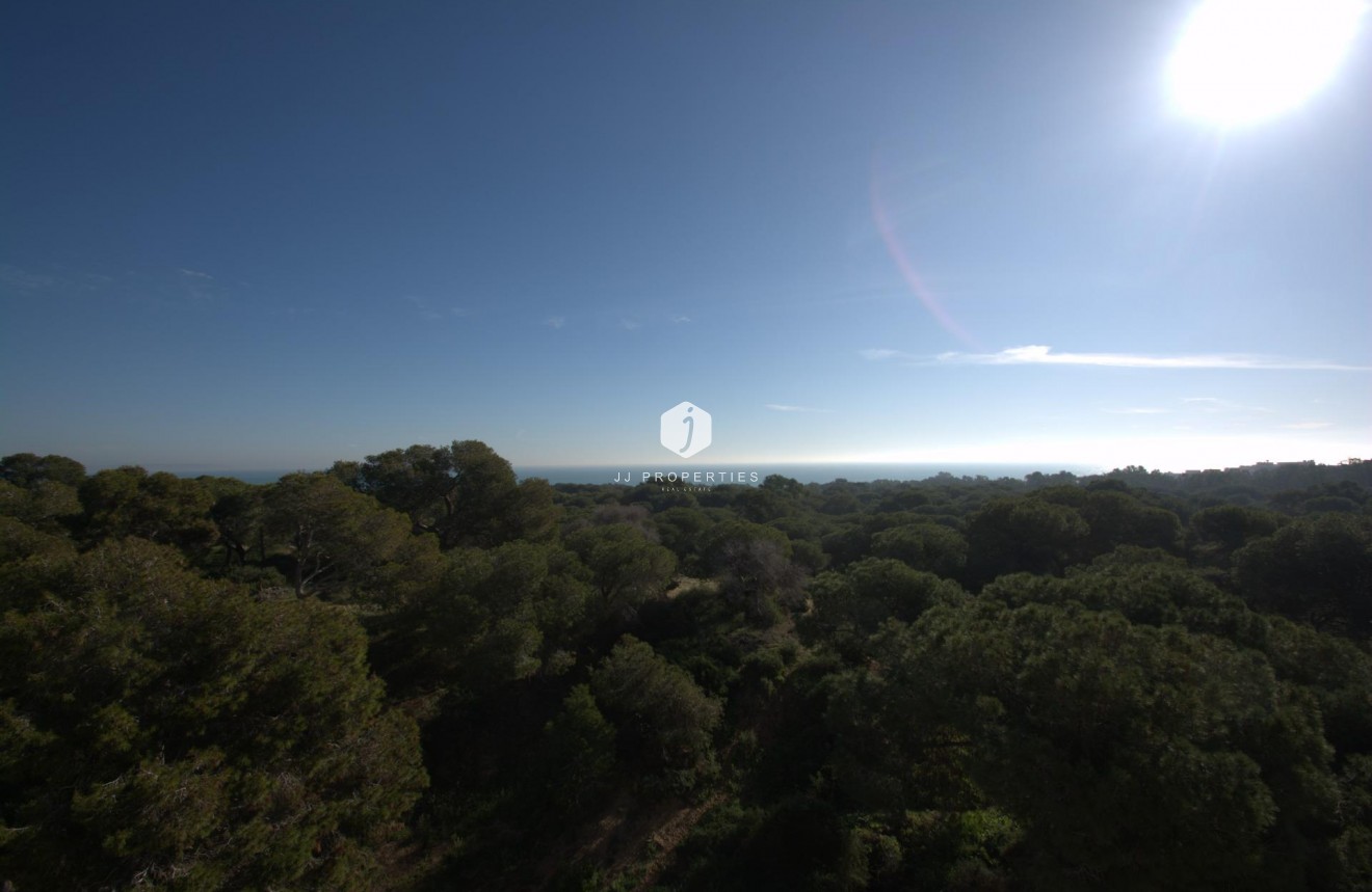 Nouvelle construction - Appartement -
Guardamar del Segura - Pueblo