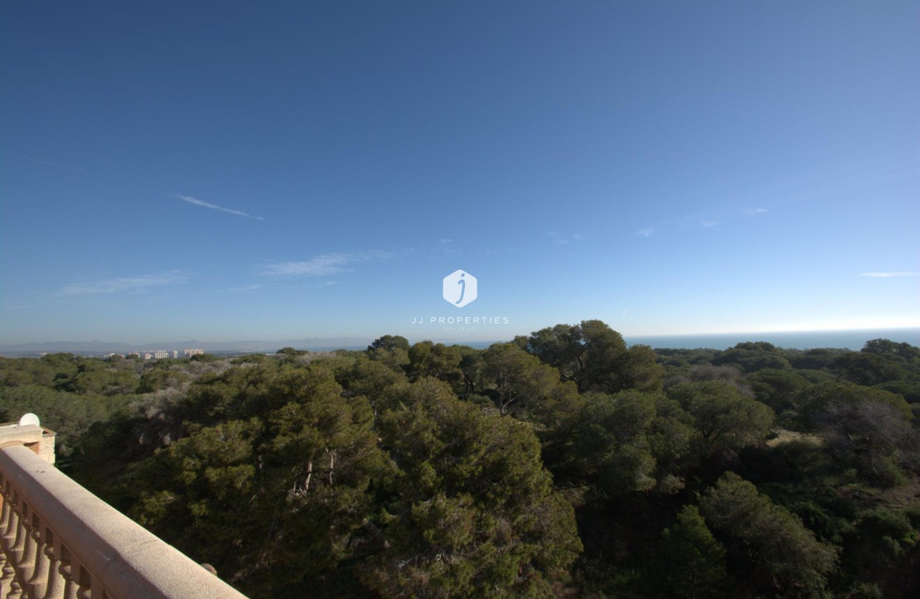Nouvelle construction - Appartement -
Guardamar del Segura - Pueblo
