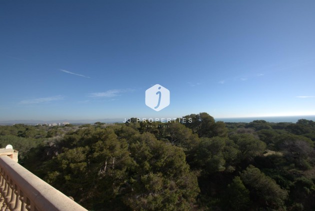 Nouvelle construction - Appartement -
Guardamar del Segura - Pueblo