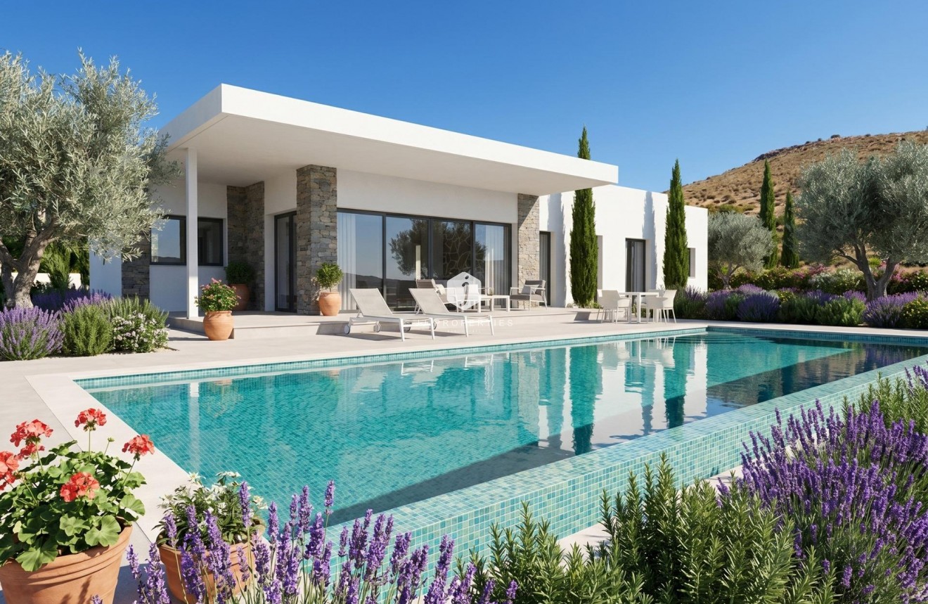 New Build - Villa -
Pinoso - Casas Pastor