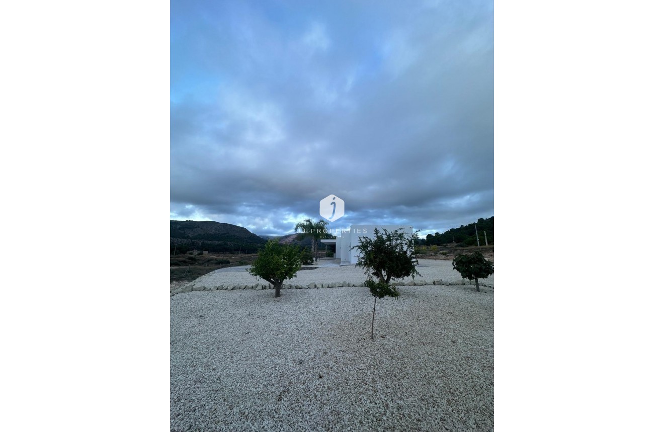 New Build - Villa -
Pinoso - Casas Pastor