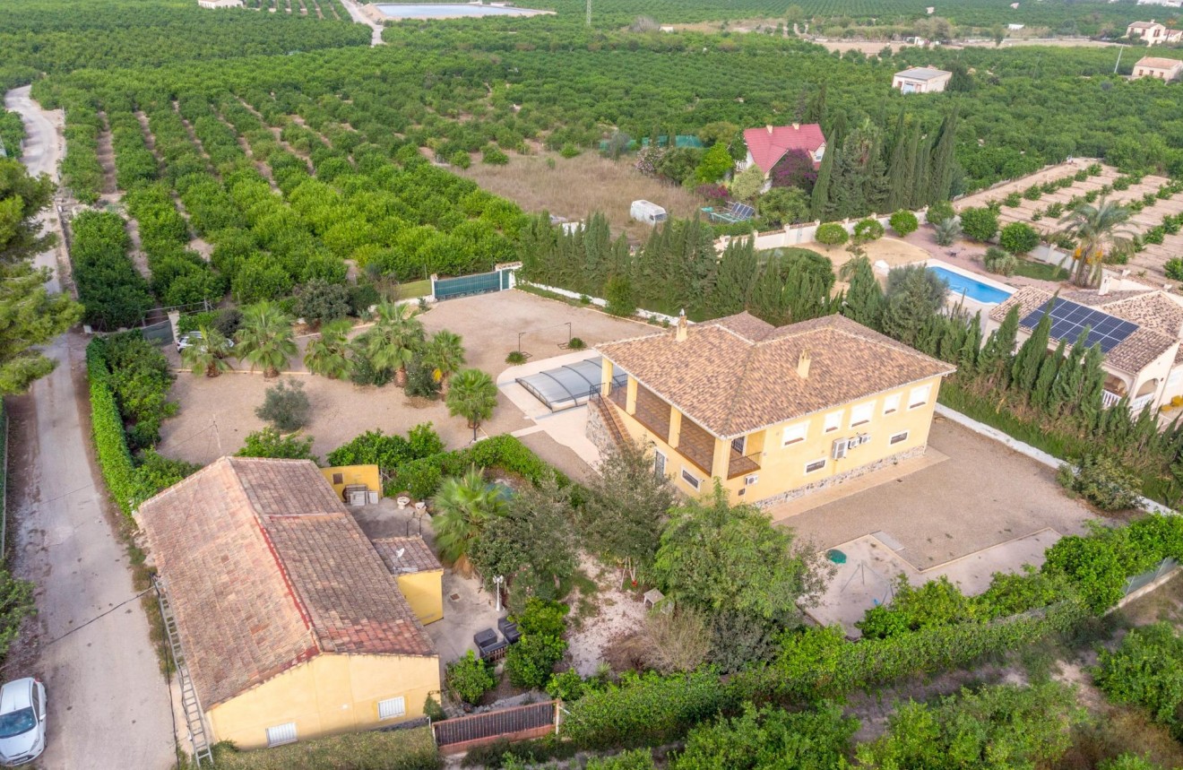 Z drugiej ręki - Casa de campo -
Orihuela - Molins