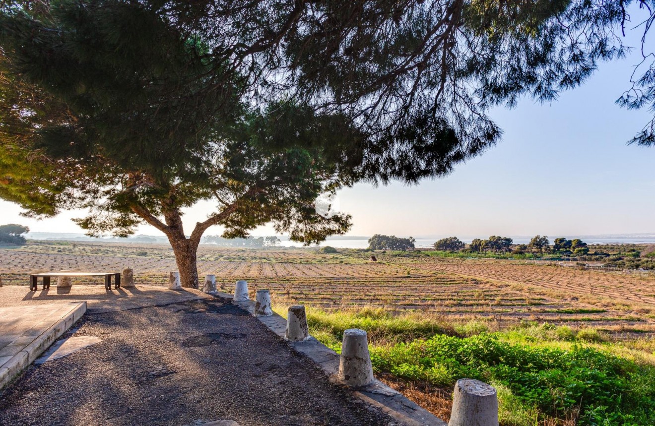 Tweedehands - Bungalow -
Torrevieja - La Siesta - El Salado - Torreta
