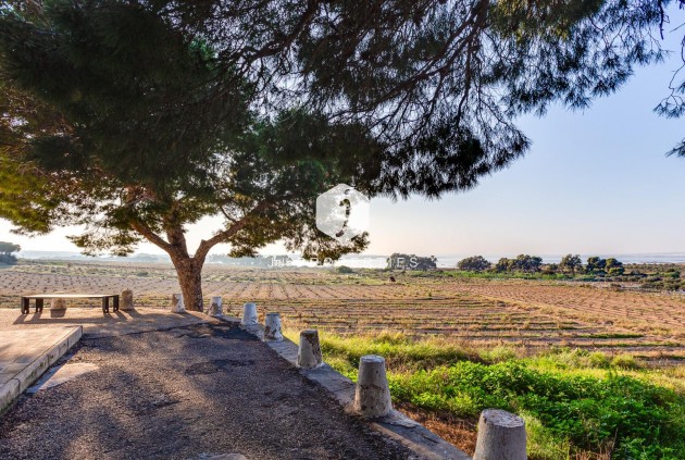 Tweedehands - Bungalow -
Torrevieja - La Siesta - El Salado - Torreta