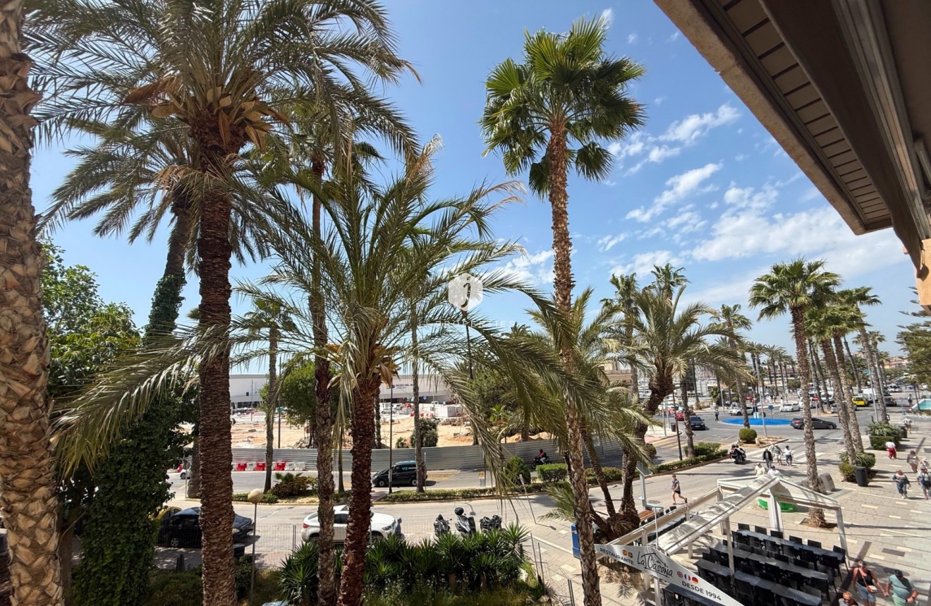 D'occasion - Appartement -
Torrevieja - Costa Blanca