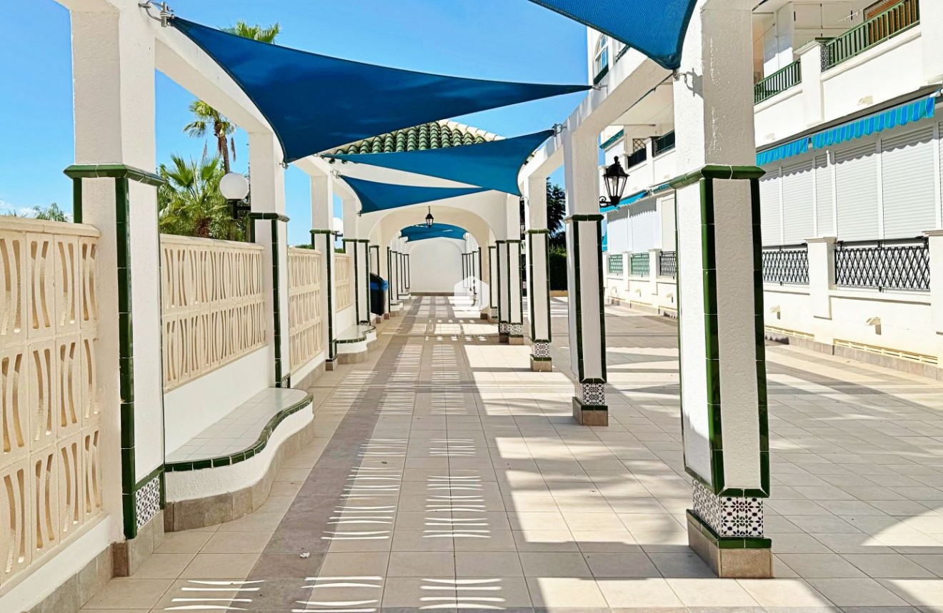 Segunda mano - Apartamento / piso -
Torrevieja - Costa Blanca