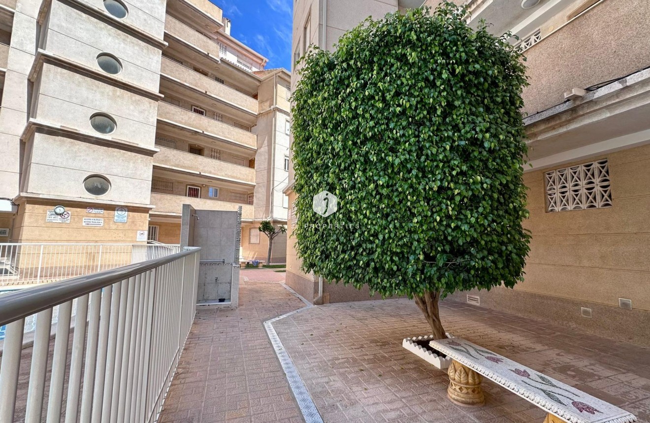 D'occasion - Appartement -
Torrevieja - Habaneras
