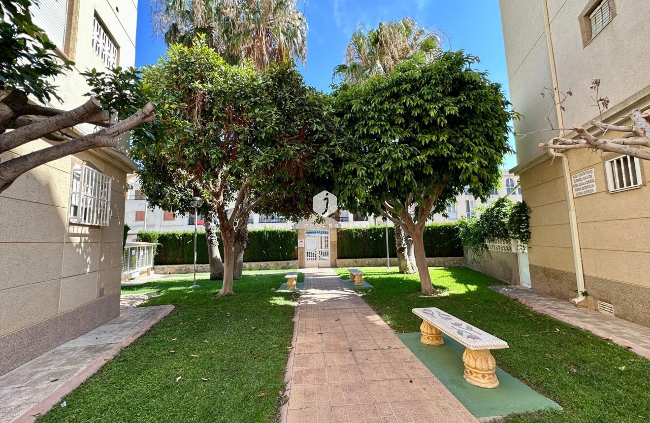 D'occasion - Appartement -
Torrevieja - Habaneras