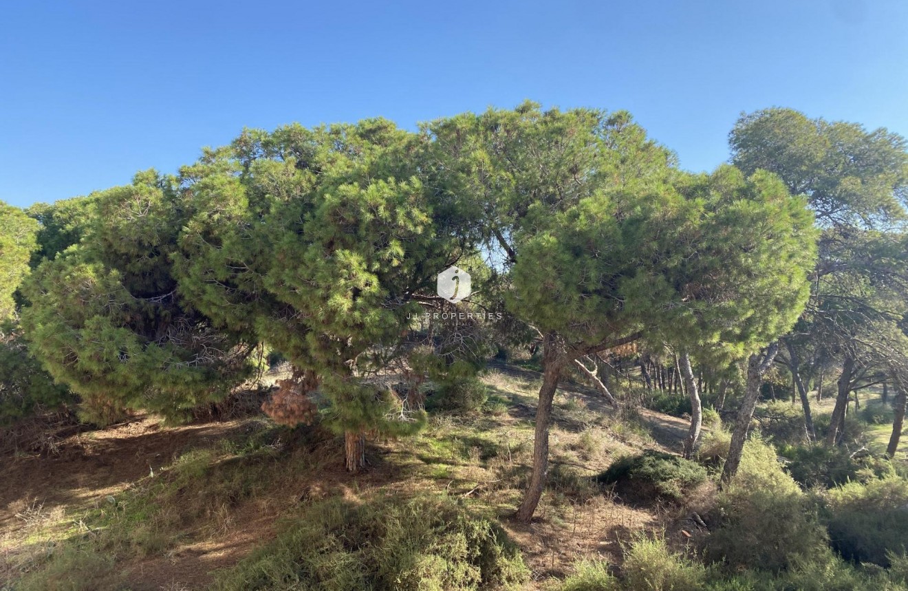 New Build - Apartment / flat -
Guardamar del Segura - Centro