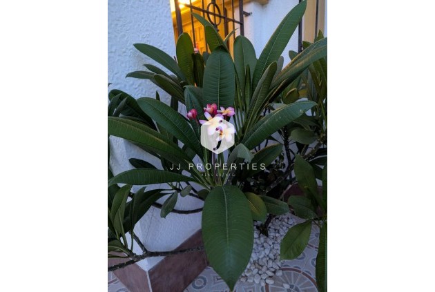 Resale - Chalet -
Torrevieja - Carrefour