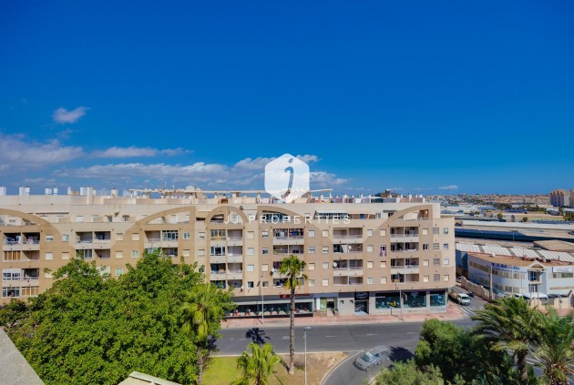 Aus zweiter Hand - Wohnung -
Torrevieja - Centro