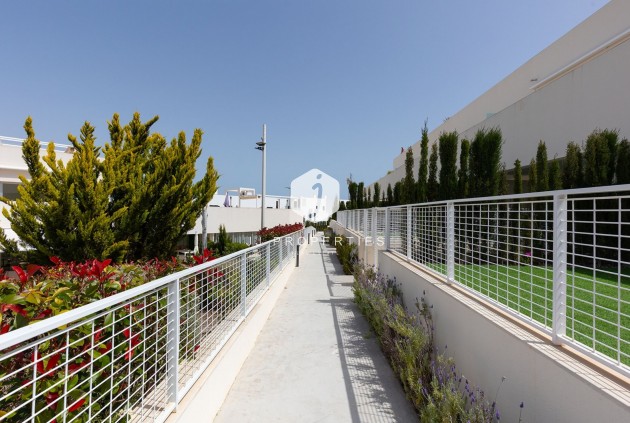 D'occasion - Appartement -
Torrevieja - Costa Blanca