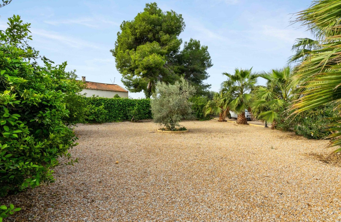 Segunda mano - Casa de campo -
Orihuela - Molins