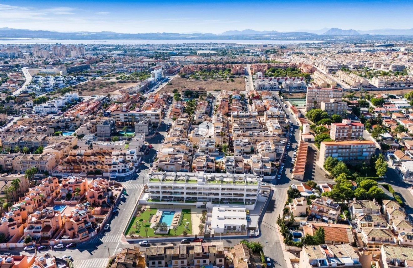 Obra nueva - Ático -
Torrevieja - Los Frutales