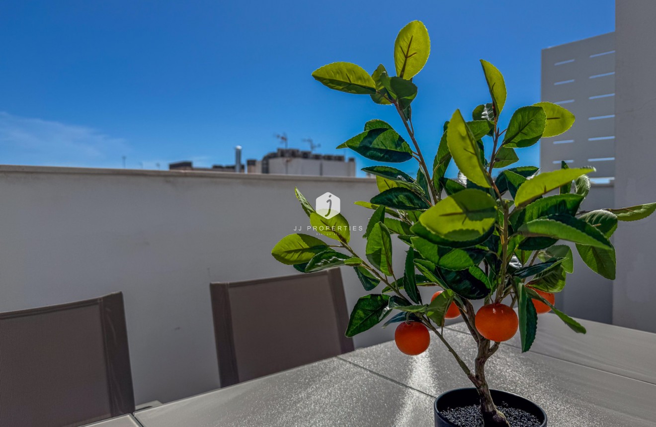 Aus zweiter Hand - Wohnung -
Torrevieja - Costa Blanca